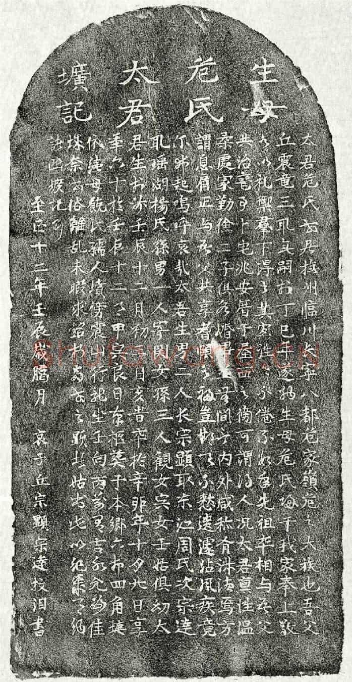元丘震龙妻危氏墓誌