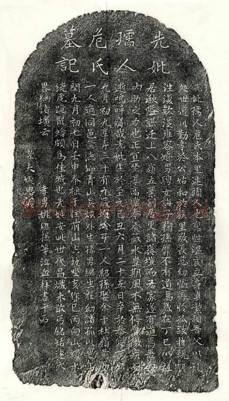 元姚思义妻危氏墓誌