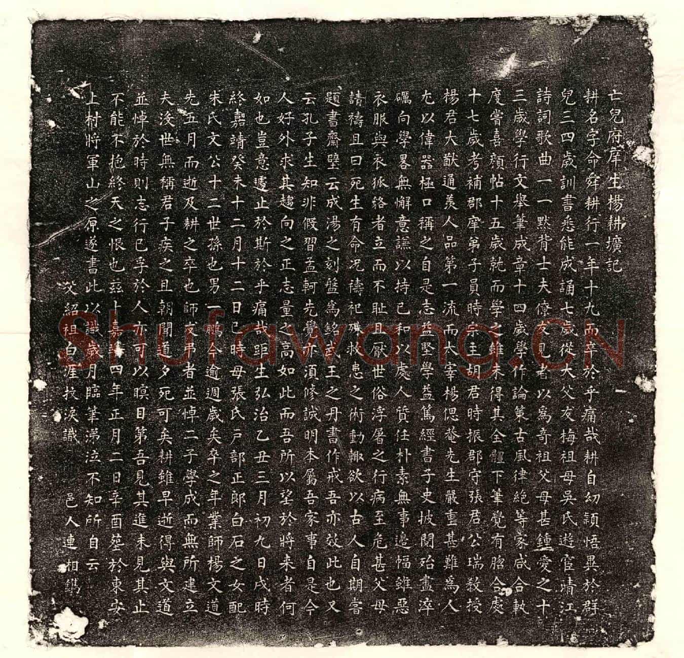 明杨耕墓誌(亡儿府庠生杨耕圹记)
