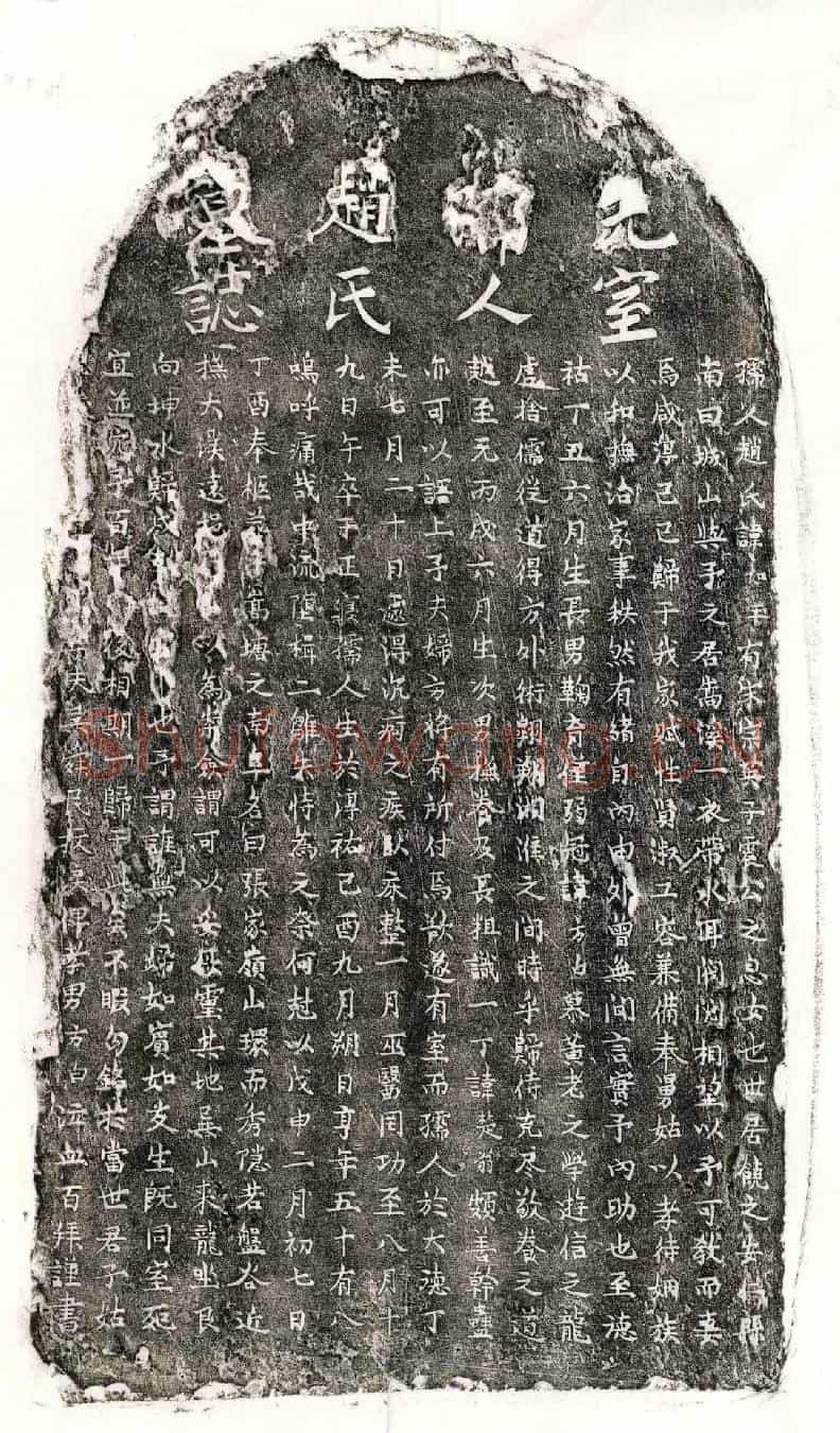 元吴舜民妻赵如玉墓誌