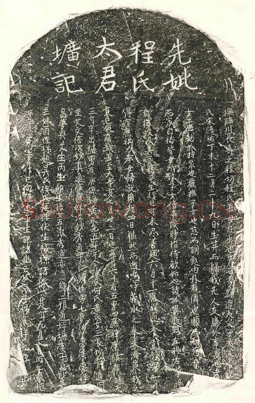 元程应祥母程氏墓誌