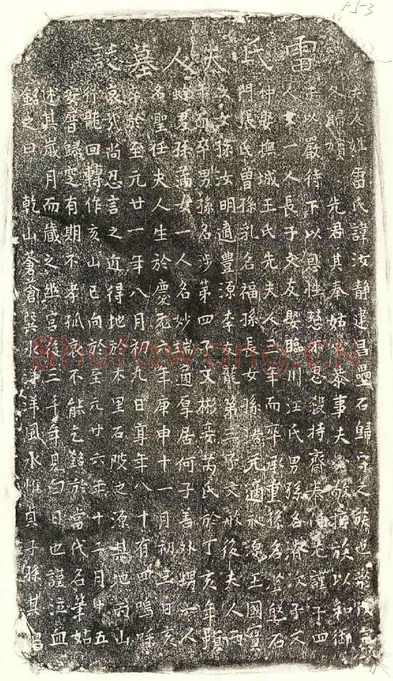 元□文友母雷汝静墓誌