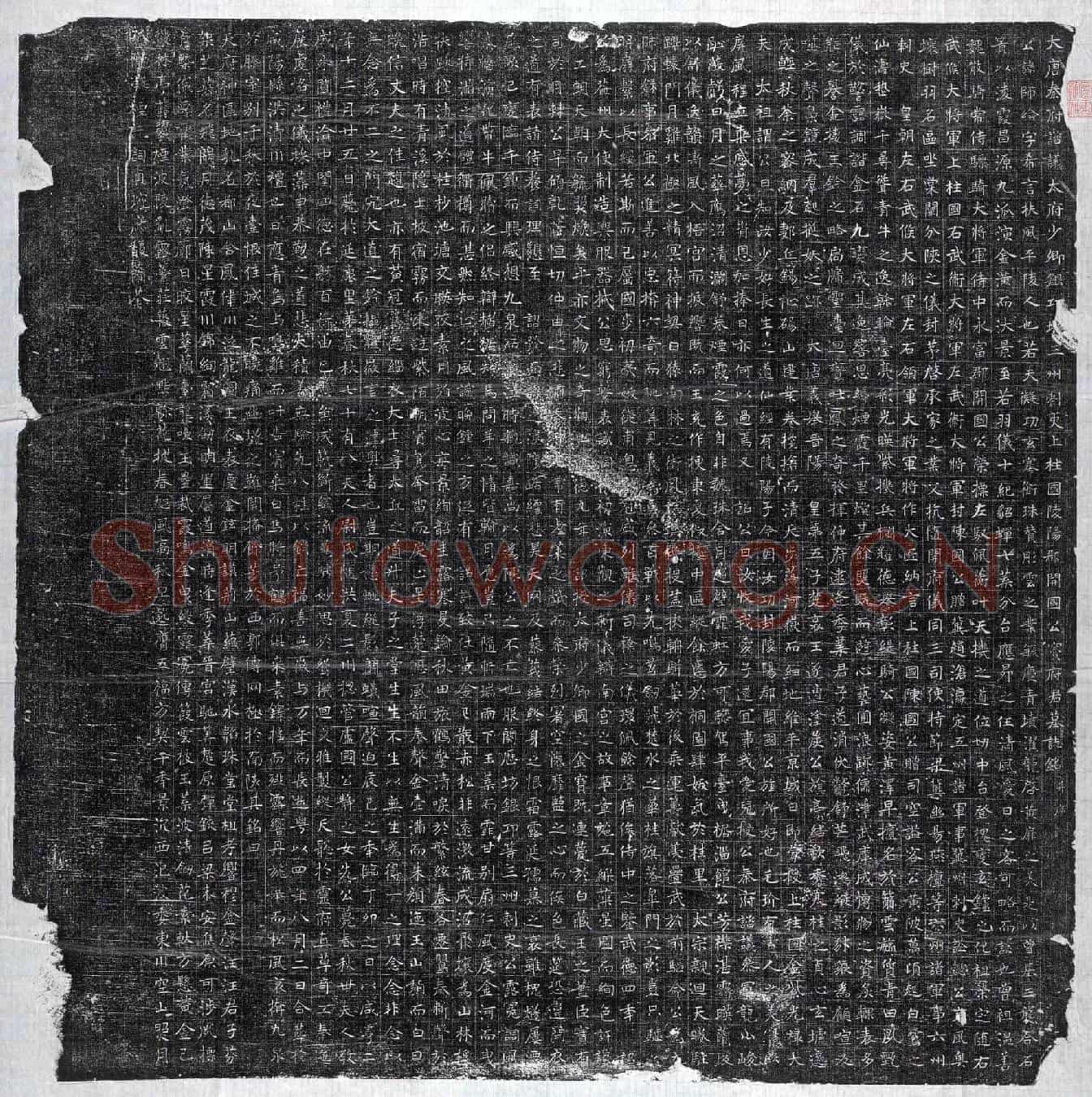 唐窦师纶墓誌(大唐秦府谘议太府少卿银□□三州刺史上柱国陵阳郡开国公窦府君墓誌铭并序)