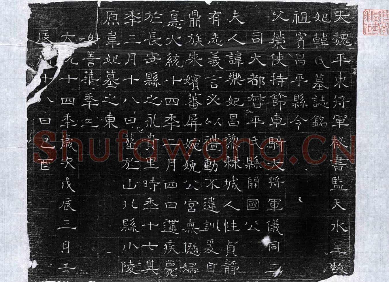 北朝韩乐妃墓誌(大魏平东将军秘书监天水王故妃韩氏墓誌铭)