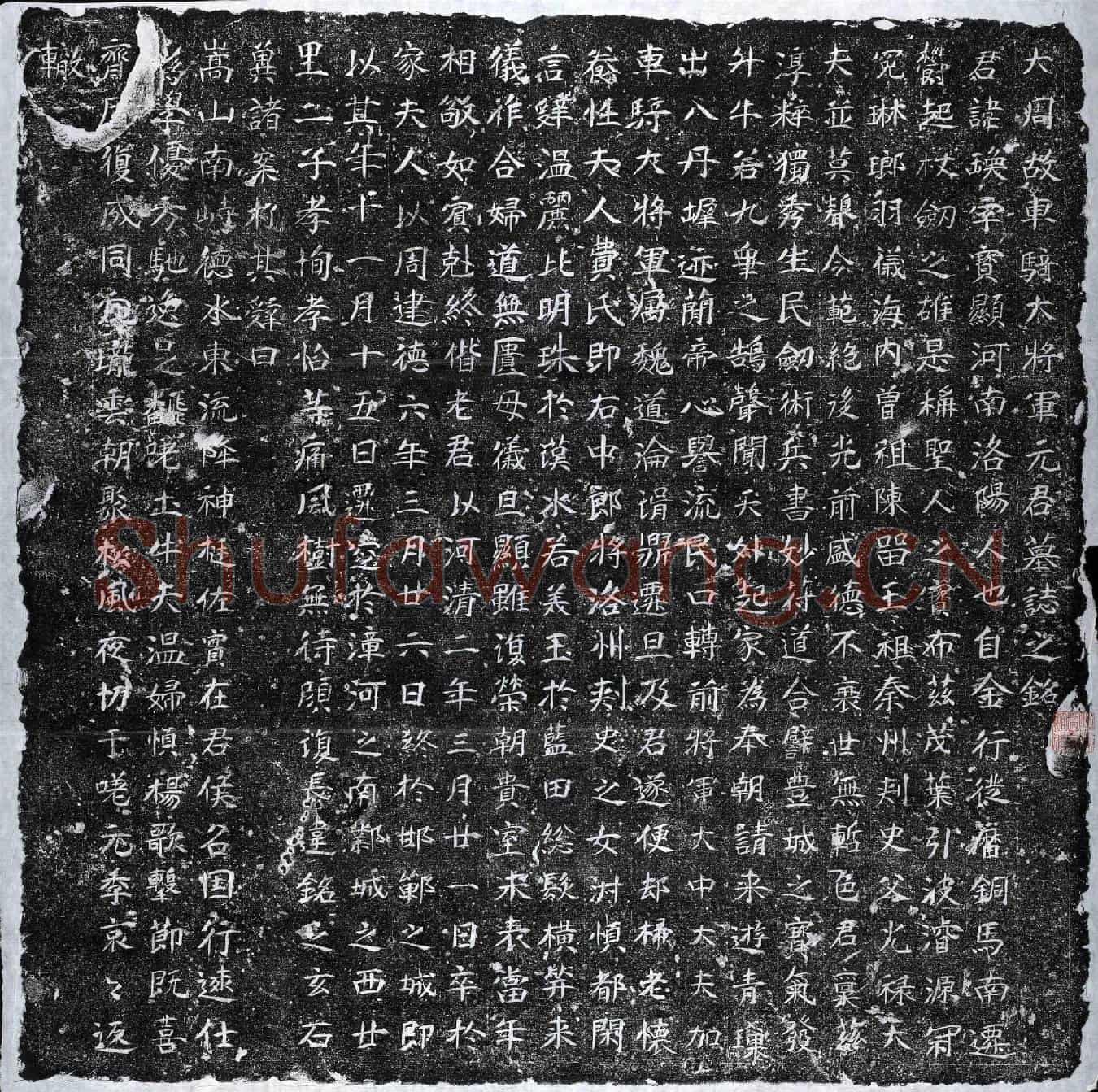 北朝元瑍墓誌(大周故车骑大将军元君墓誌之铭)
