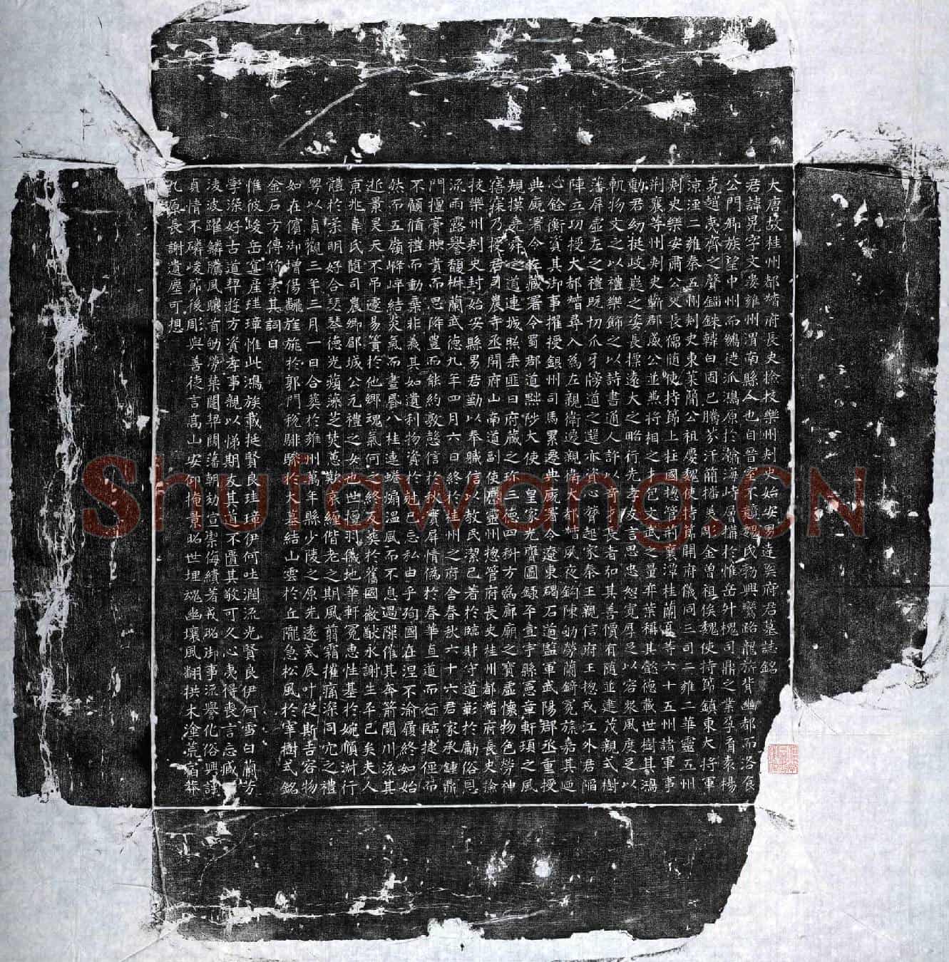 唐达奚晃墓誌(大唐故桂州都督府长史检校乐州刺史始安男达奚府君墓誌铭)
