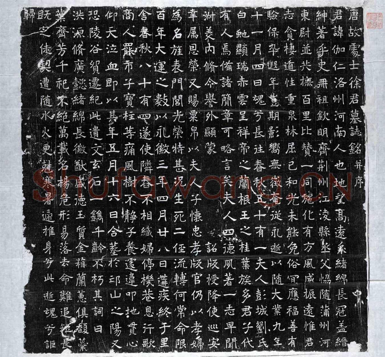 唐徐伽仁墓誌(唐故处士徐君墓誌铭并序)
