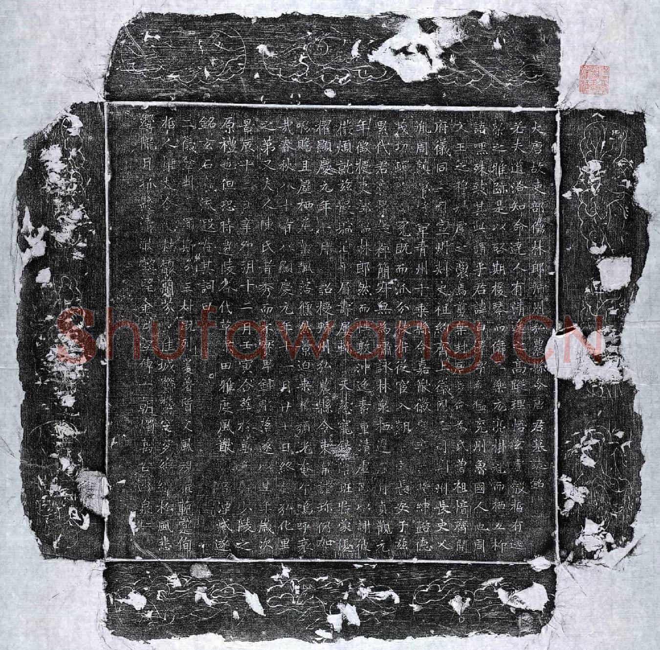 唐唐白泽墓誌(大唐故吏部儒林郎虢州弘农县令唐君墓誌铭)