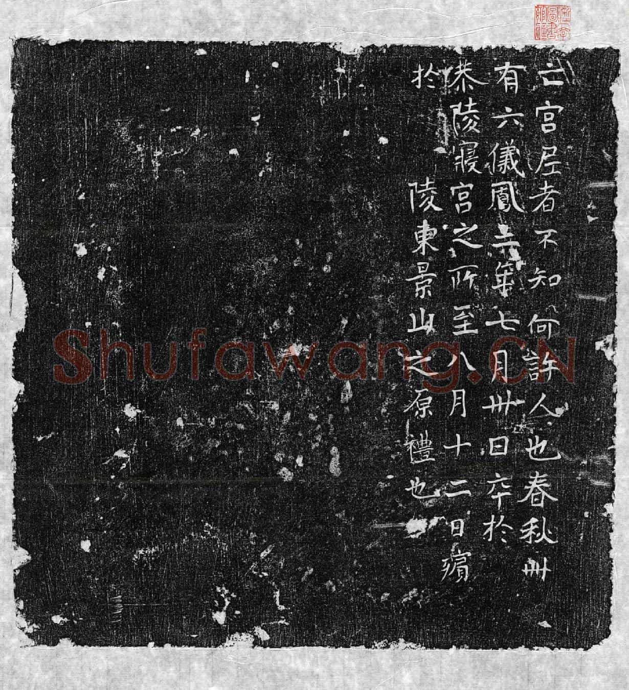 唐七品宫尼墓誌