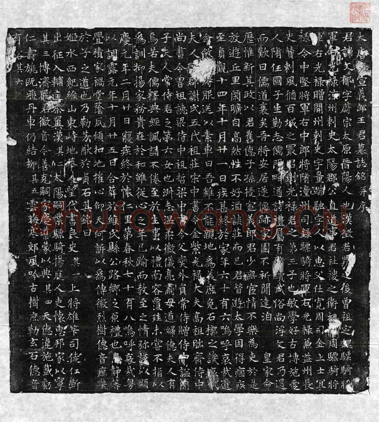唐王文郁墓誌(大唐□宣义郎王君墓誌铭并序)