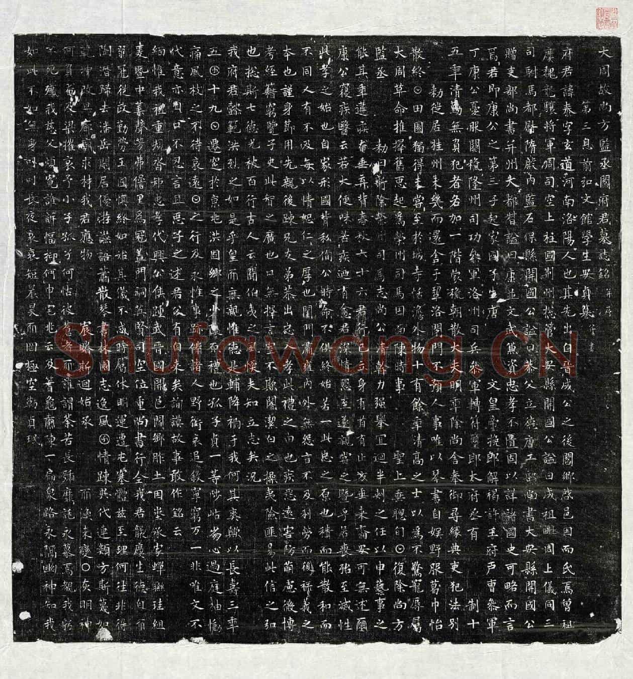 唐阎泰墓誌(大周故尚方监丞阎府君墓誌铭并序)