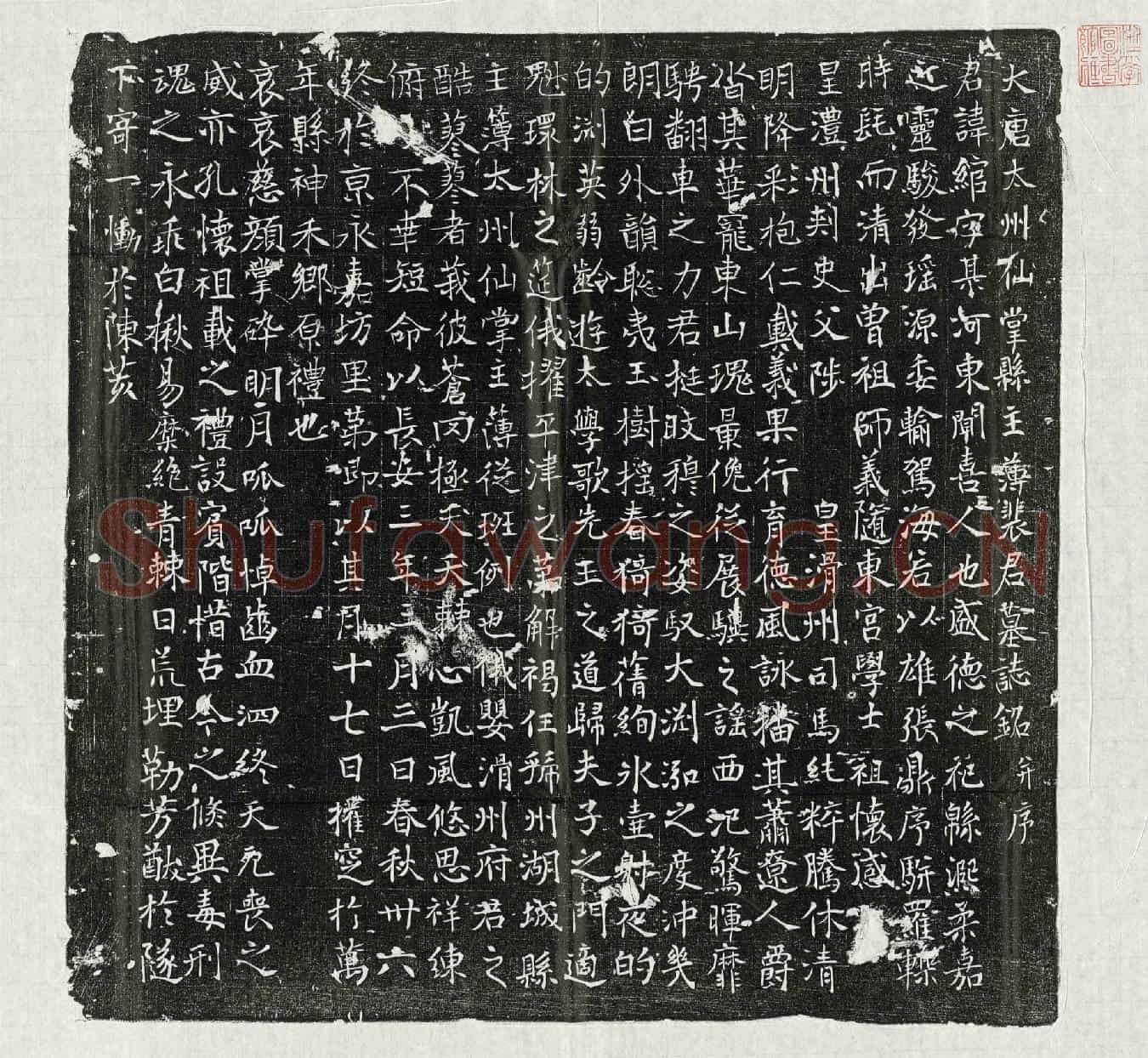 唐裴绾墓誌(大唐太州仙掌县主簿裴君墓誌铭并序)