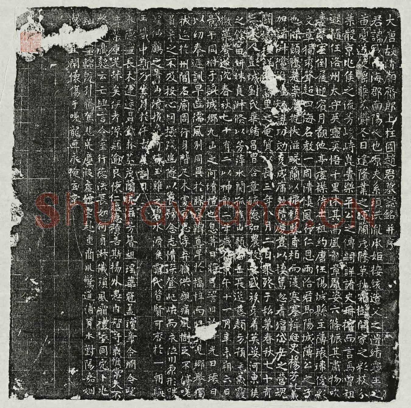 唐赵或墓誌(大唐故清庙斋郎上柱国赵君墓誌铭并序)