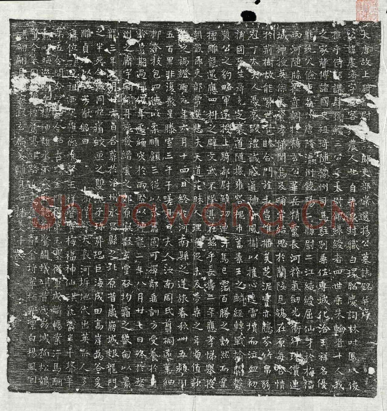 唐杨处济墓誌(大唐故上骑都尉□散郎吏部常选杨公墓誌铭并序)