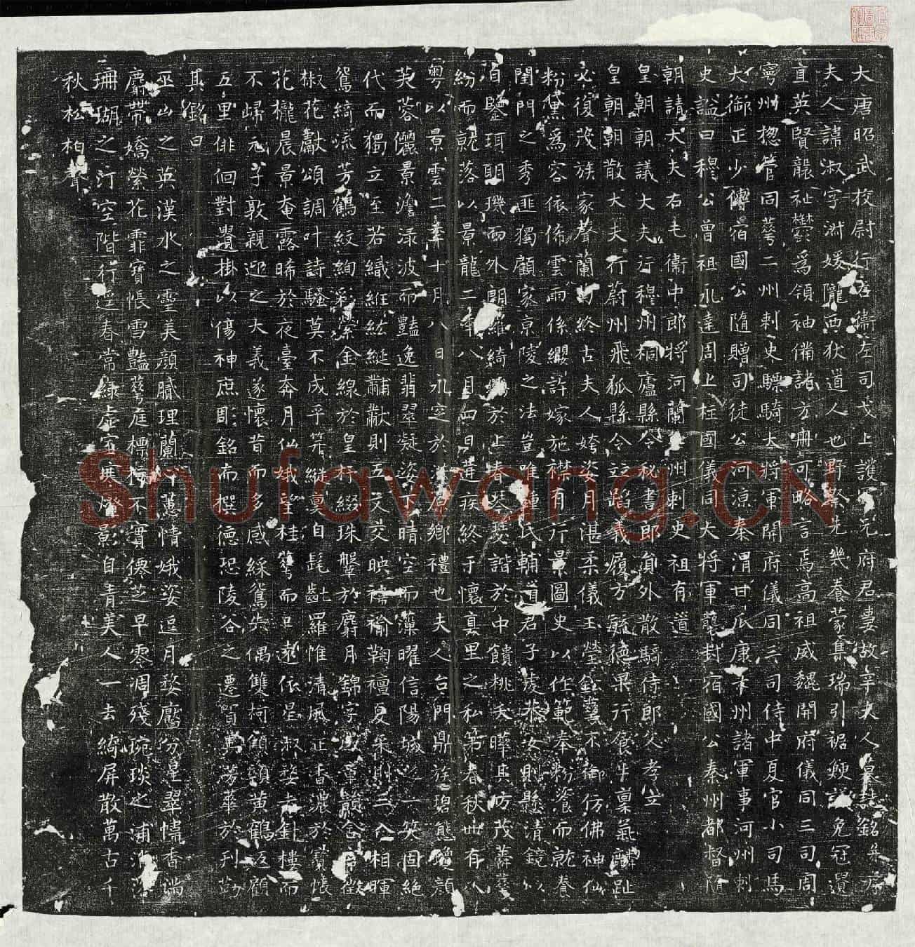 唐辛淑墓誌(大唐昭武校尉行右卫左司戈上护军元府君妻故辛夫人墓誌铭并序)
