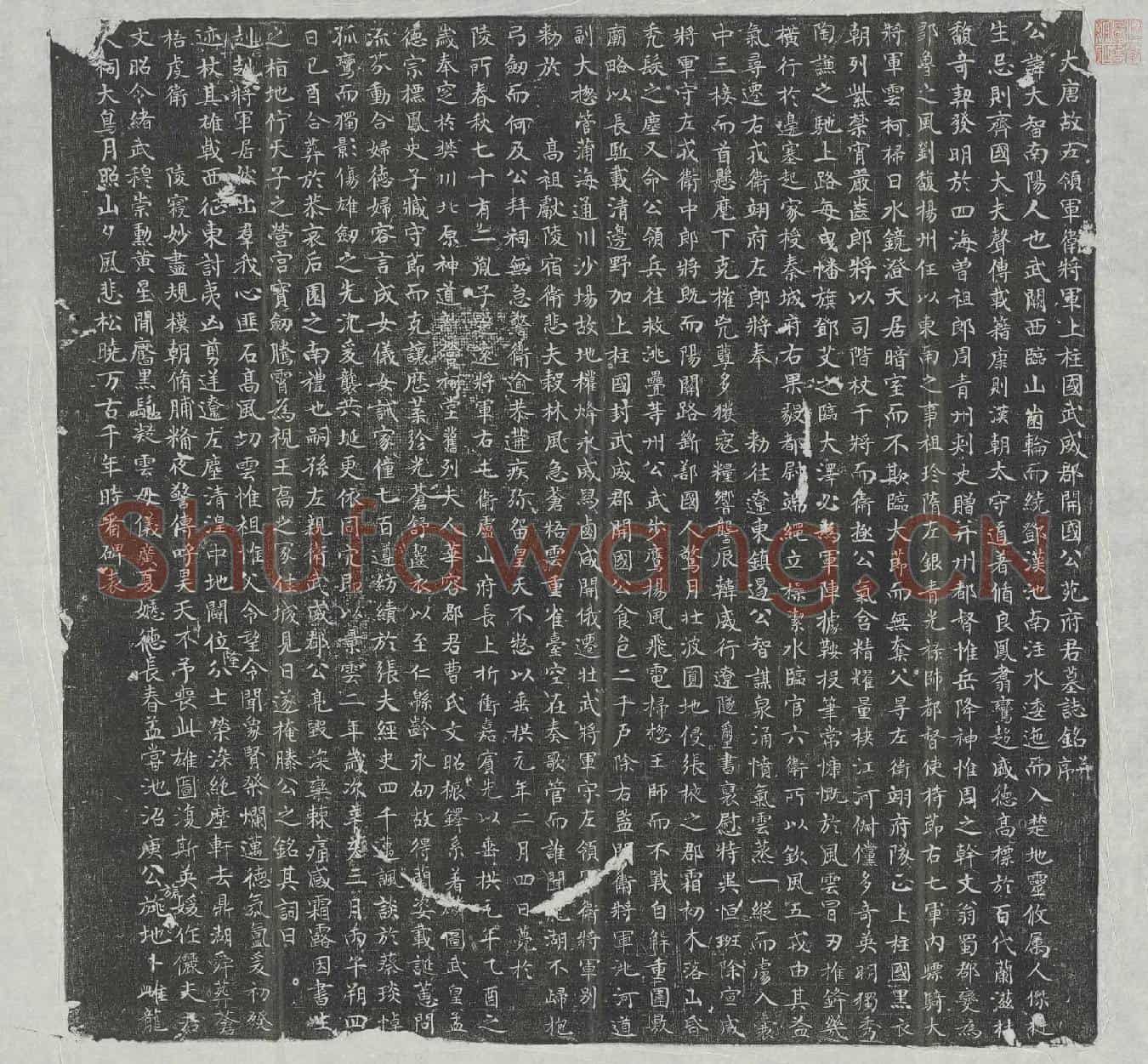 唐苑大智墓誌(大唐故左领军卫将军上柱国武威郡开国公苑府君墓誌铭并序)