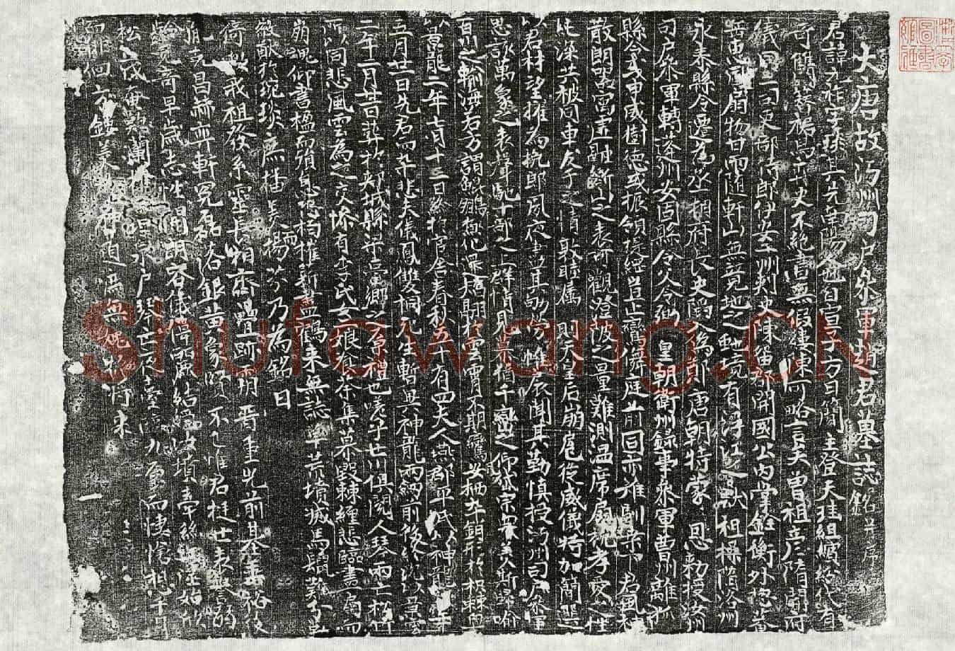 唐赵元祚墓誌(大唐故沔州司户参军赵君墓誌铭并序)