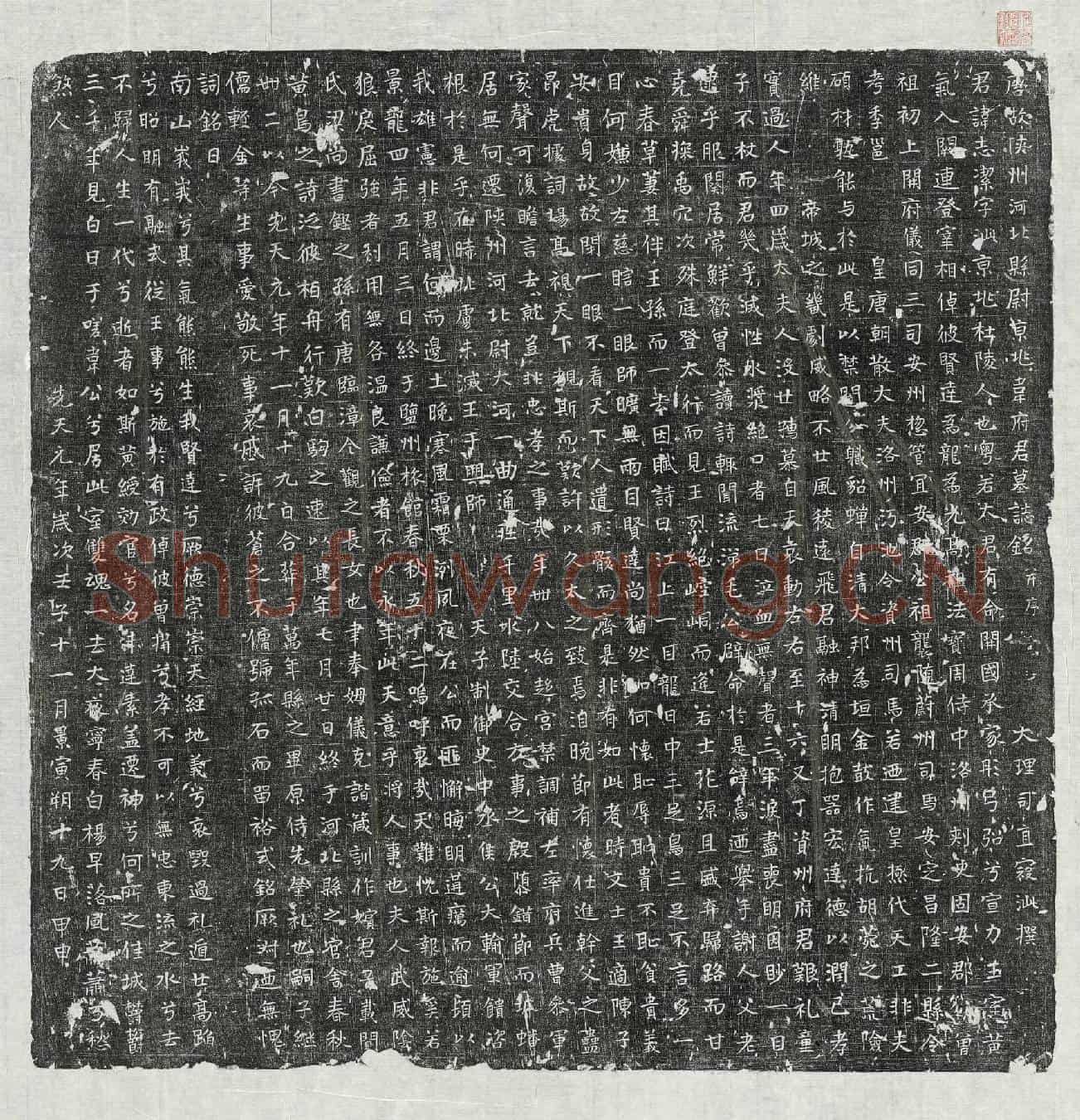 唐韦志洁墓誌(唐故陕州河北县尉京兆韦府君墓誌铭并序)