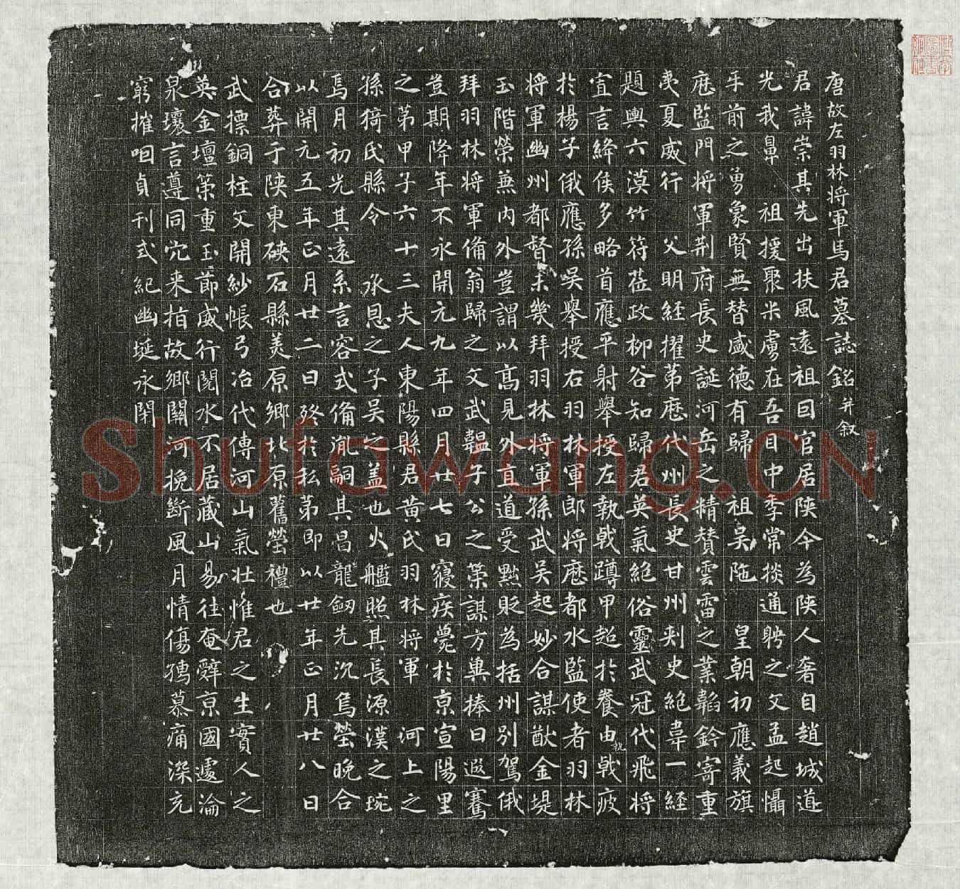 唐马崇墓誌(唐故左羽林将军马君墓誌铭并叙)