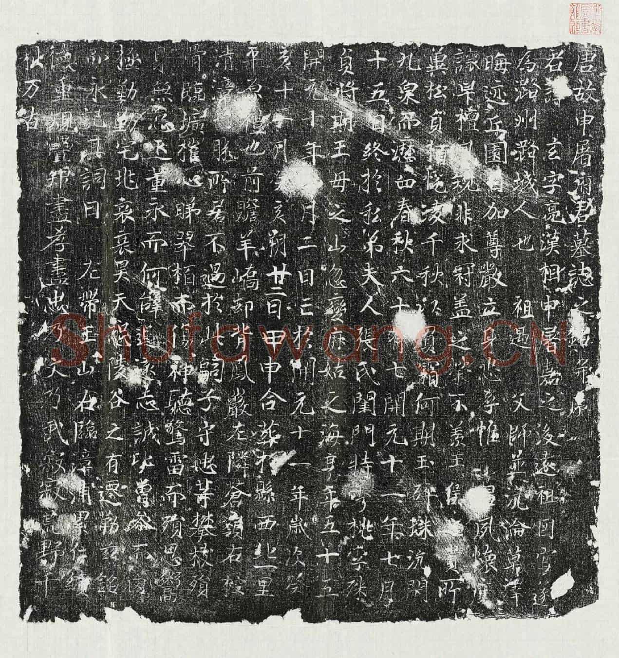 唐申屠玄墓誌(唐故申屠府君墓誌之铭并序)