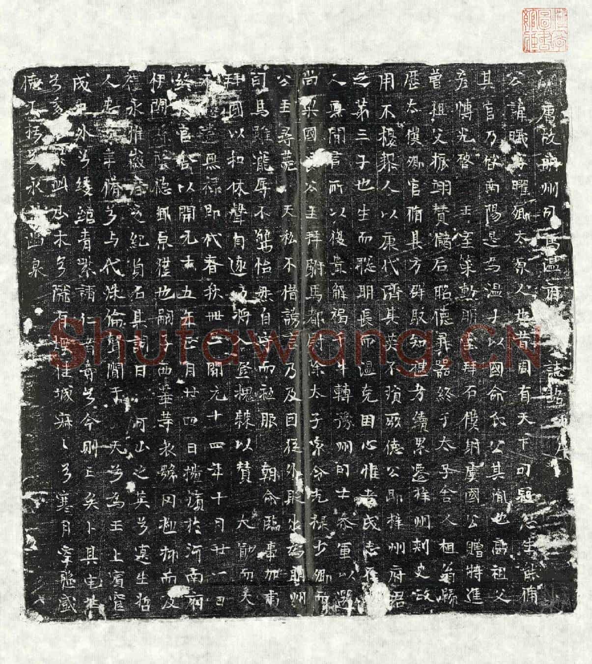 唐温曦墓誌(唐故明州司马温府□□誌铭并序)