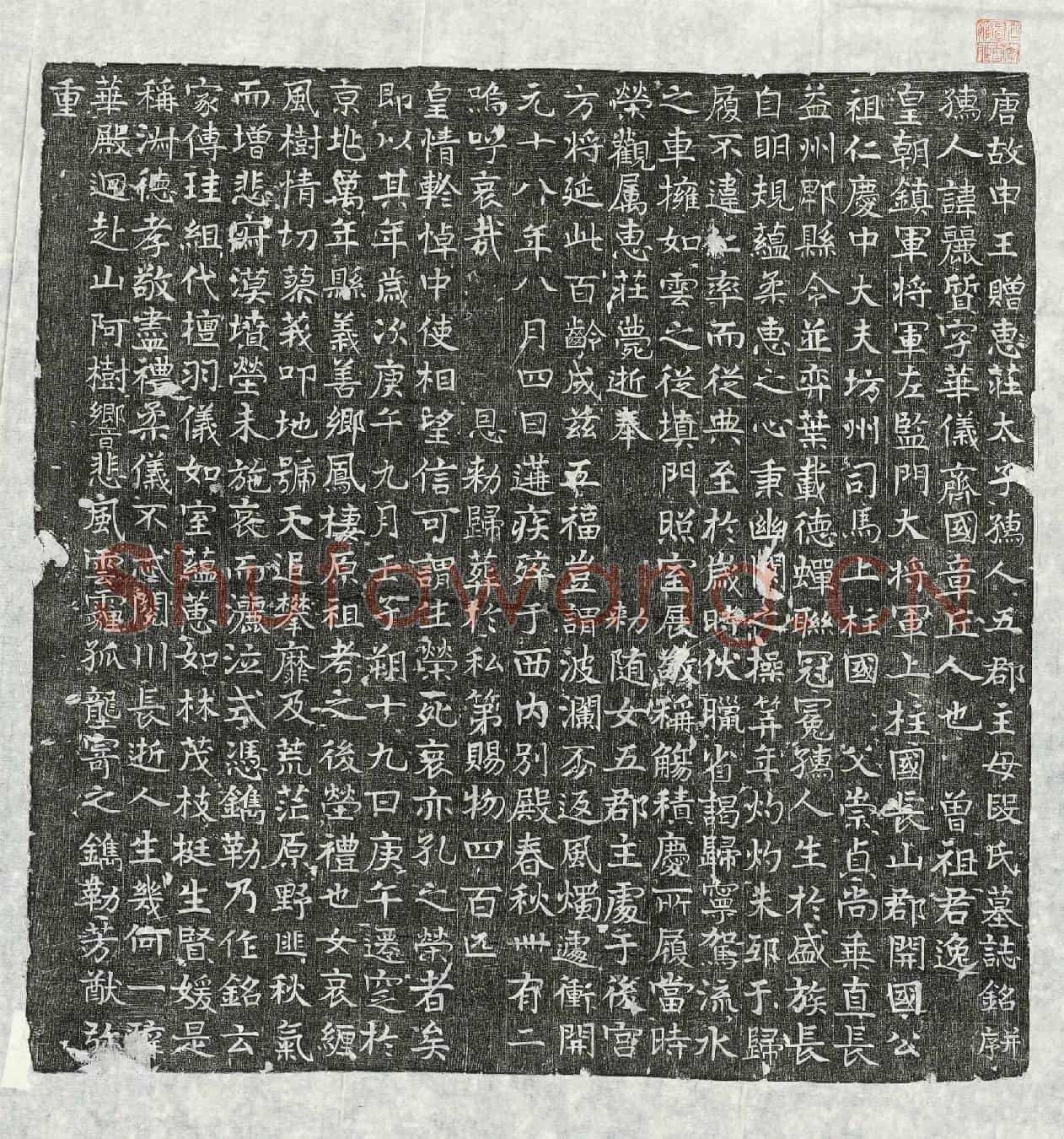 唐段丽质墓誌(大唐故申王赠惠庄太子孺人五郡主母段氏墓誌铭并序)