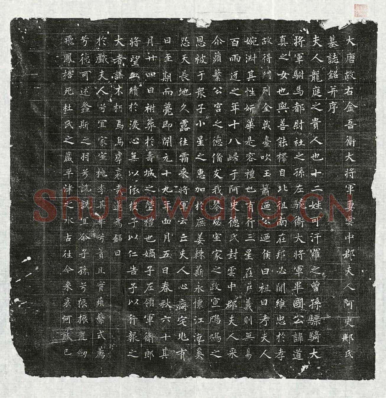 唐阿史那氏墓誌(大唐故右金吾卫大将军妻云中郡夫人阿史那氏墓誌铭并序)