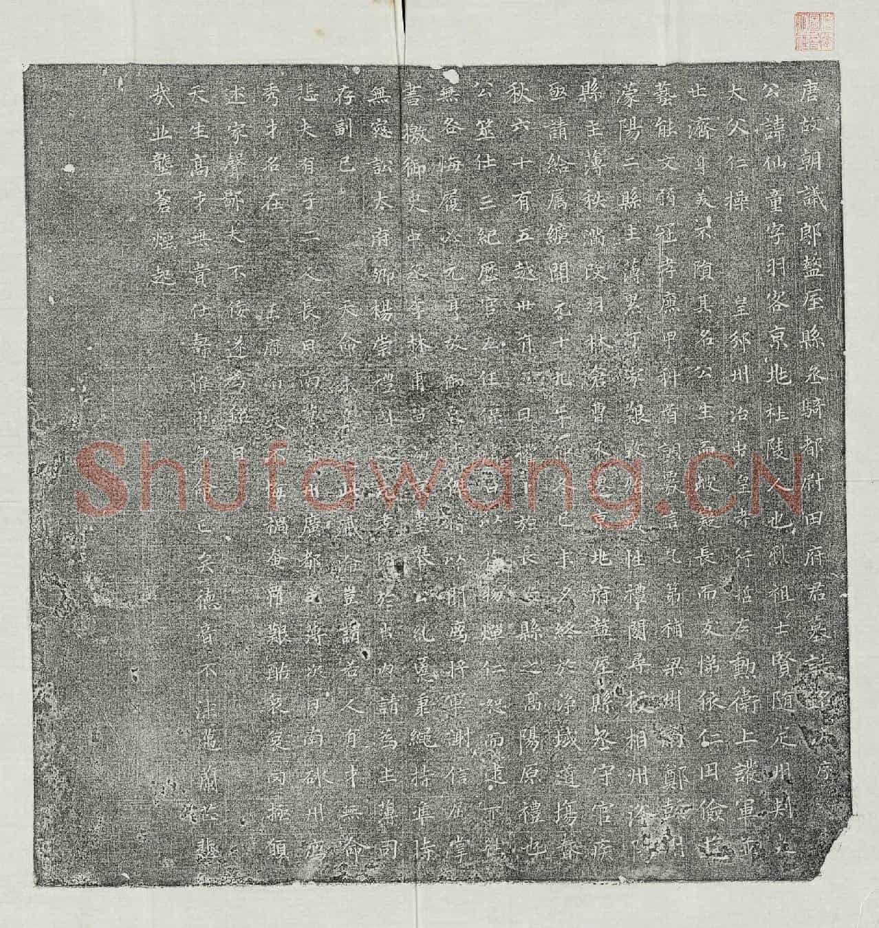 唐田仙童墓誌(唐故朝议郎盩厔县丞骑都尉田府君墓誌铭并序)