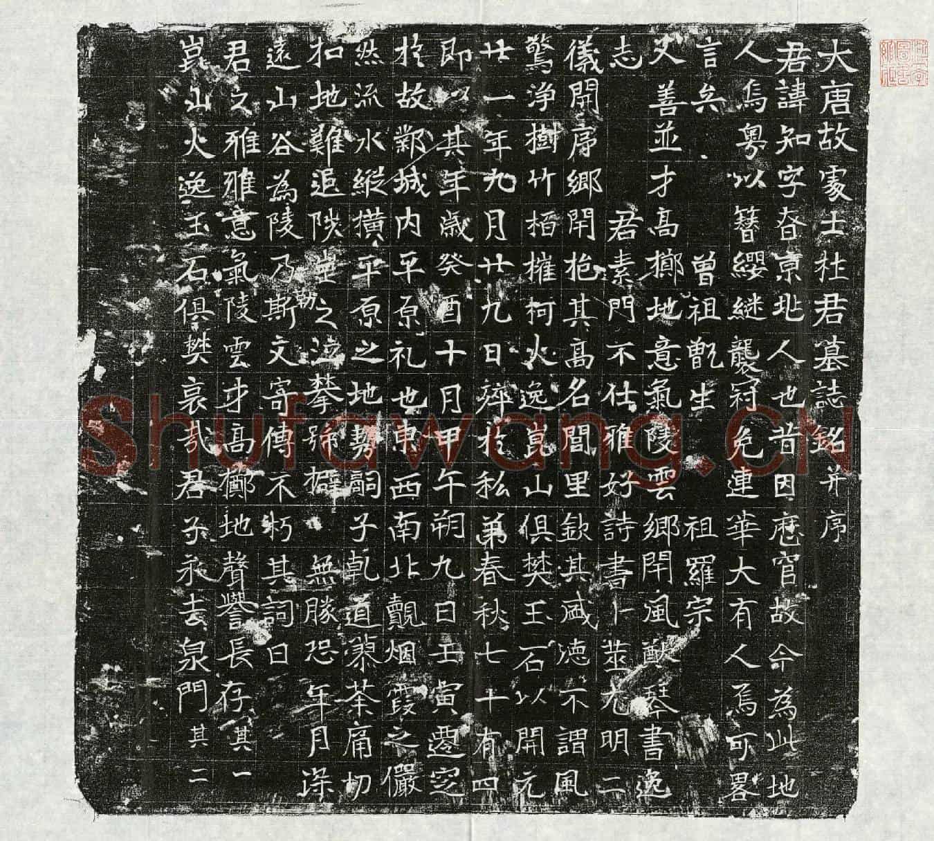 唐杜知墓誌(大唐故处士杜君墓誌铭并序)