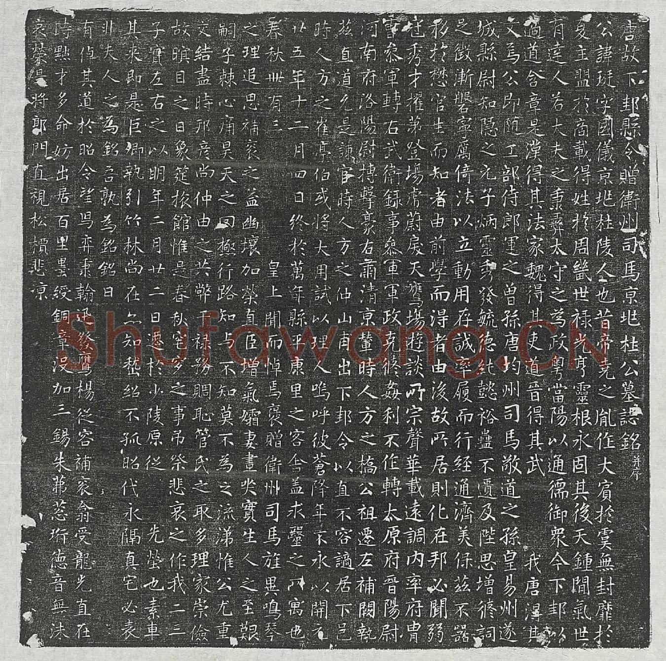 唐杜珽墓誌(唐故下邽县令赠卫州司马京兆杜公墓誌铭并序)