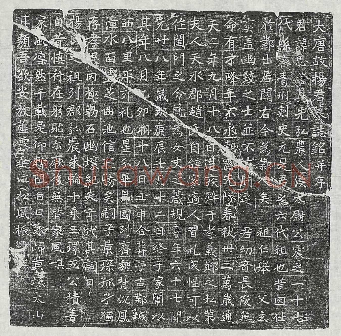 唐杨思福墓誌(大唐故杨君墓誌铭并序)