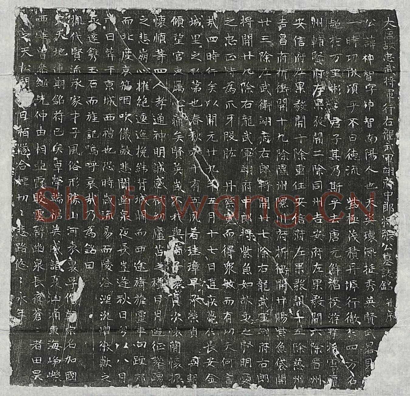 唐张神智墓誌(大唐故忠武将军行右龙武军翊府中郎将张公墓誌铭并序)