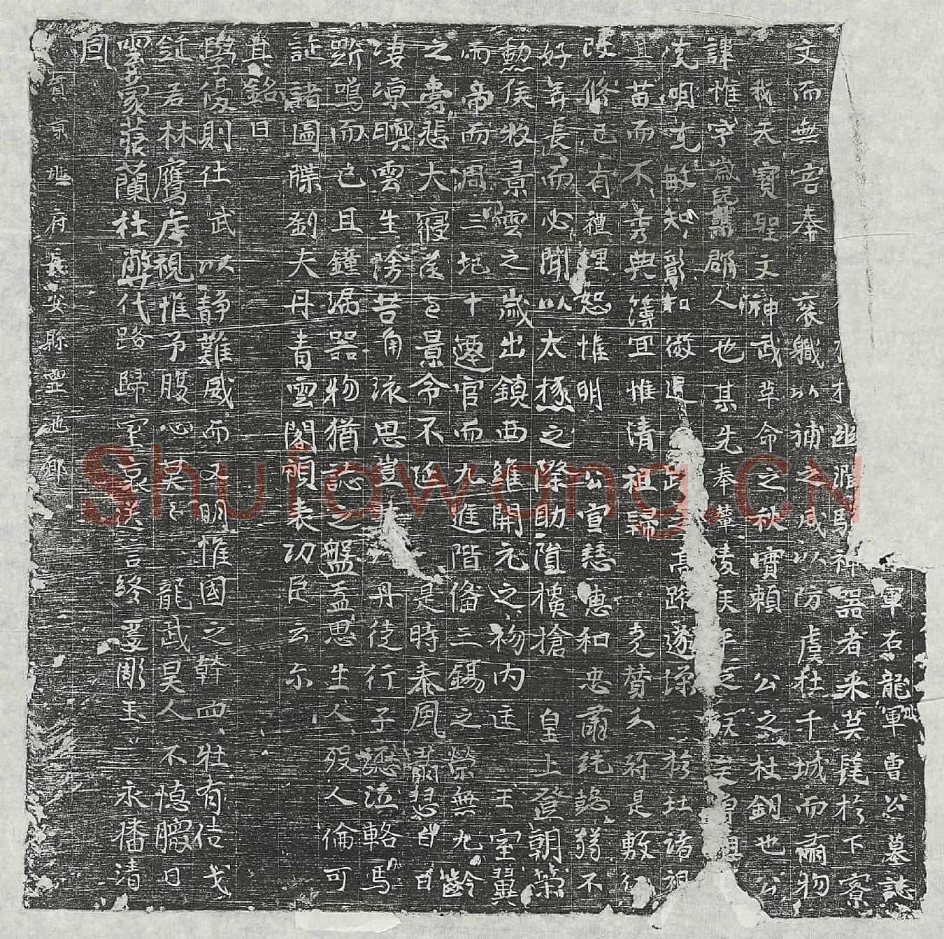 唐曹惟墓誌(〼军右龙军曹公墓誌)