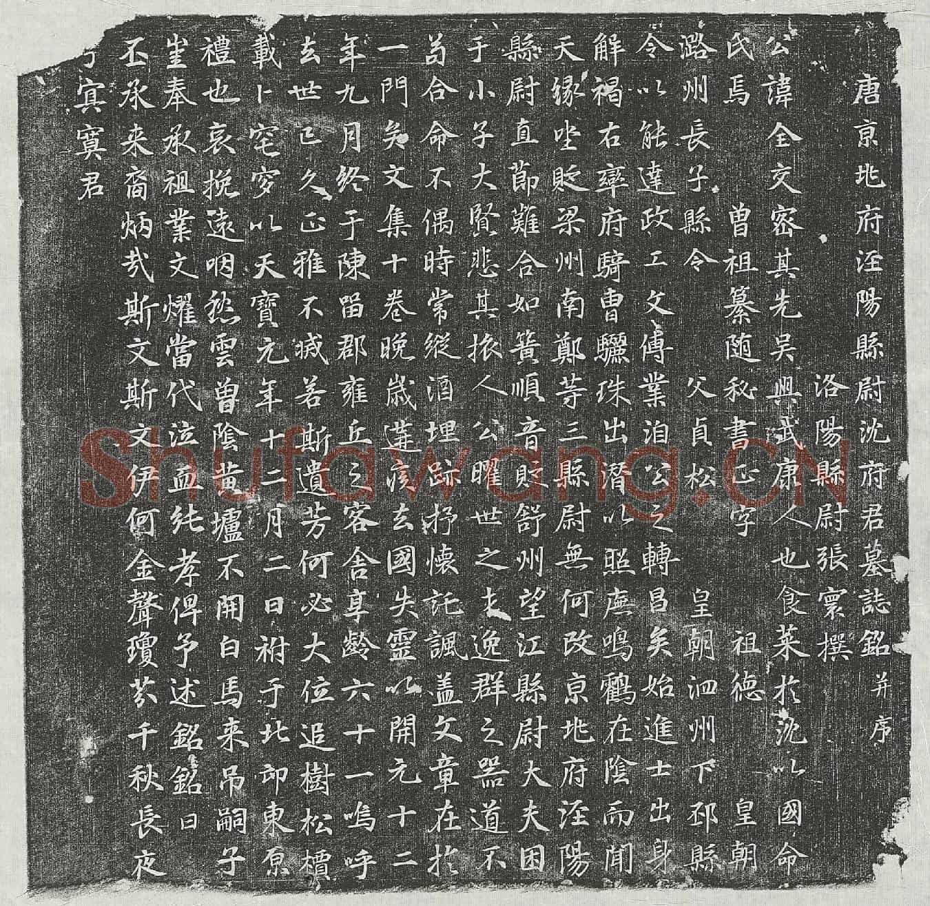 唐沈全交墓誌(唐京兆府泾阳县尉沈府君墓誌铭并序)