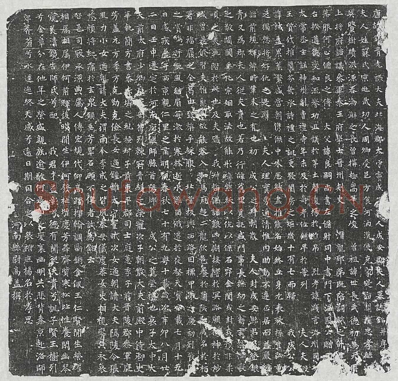 唐窦诚妻苏氏墓誌(唐故银青光禄大夫北海郡太守窦成□□人成安郡夫人墓誌铭并序)