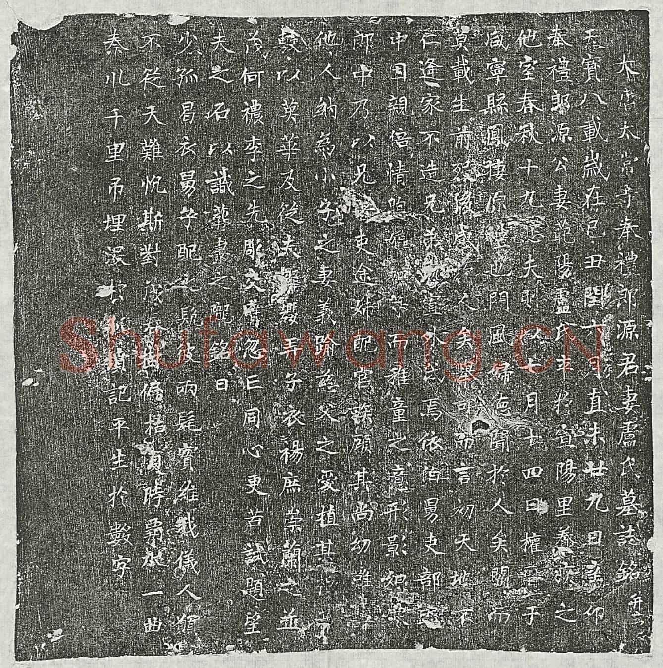 唐源君妻卢氏墓誌(大唐太常寺奉礼郎源君妻卢氏墓誌铭并序)