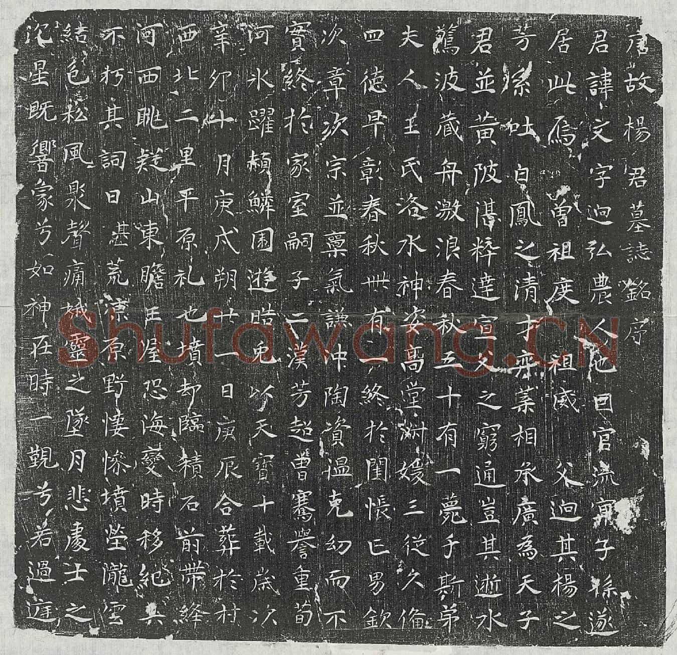 唐杨文墓誌(唐故杨君墓誌铭序)