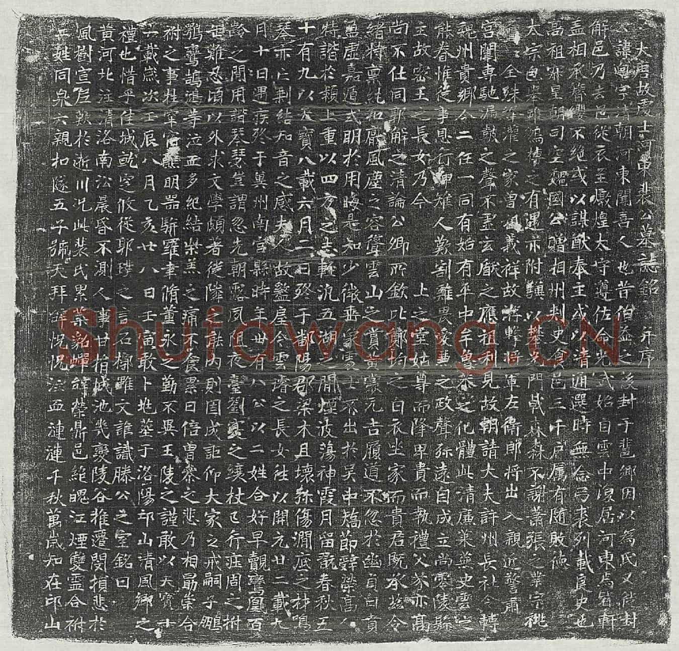 唐裴迥墓誌(大唐故处士河东裴公墓誌铭并序)