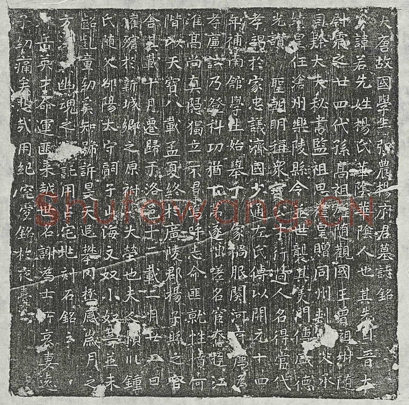 唐杨若先墓誌(大唐故国学生弘农杨府君墓誌铭)