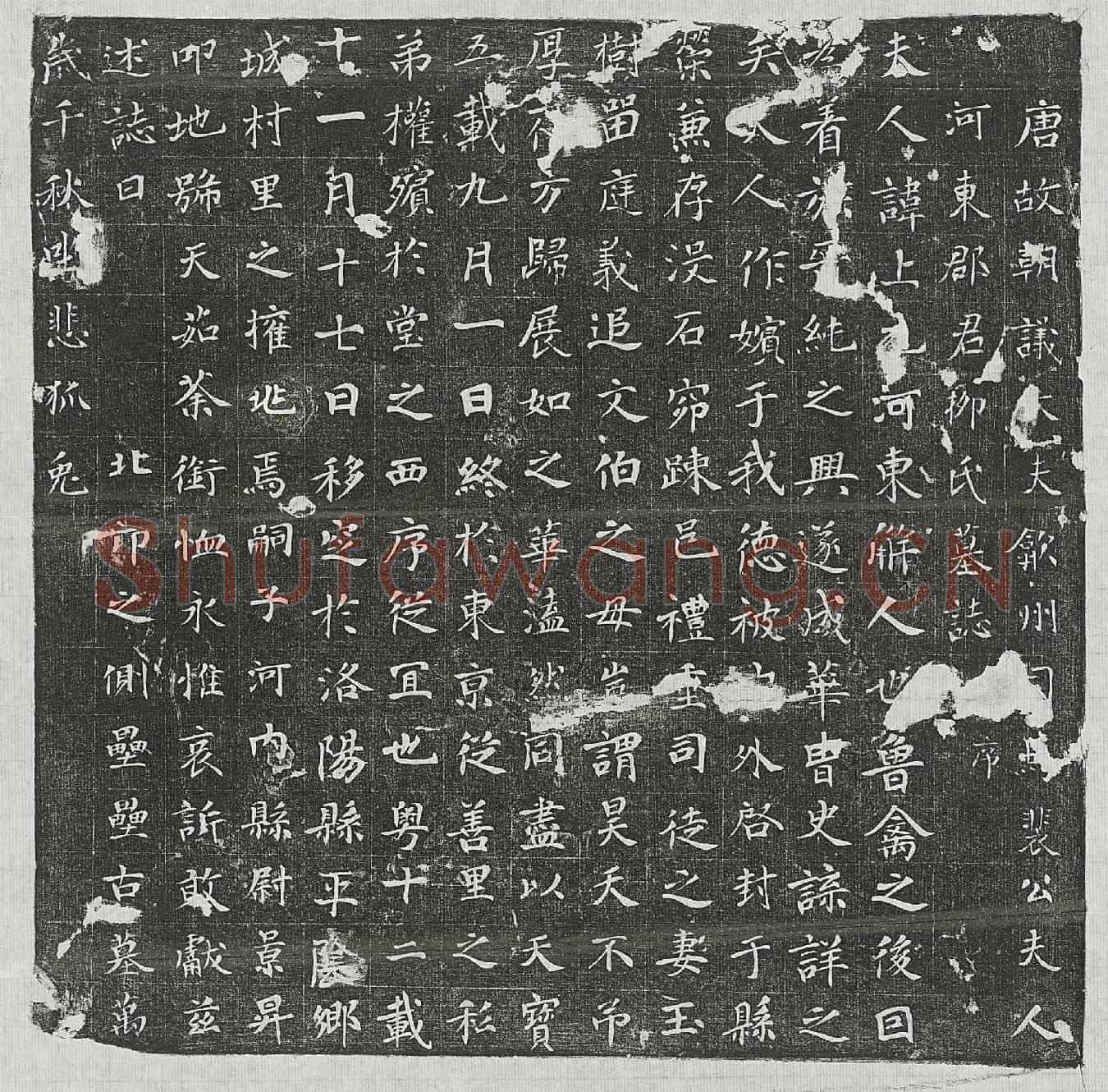 唐裴君妻柳上元墓誌(唐故朝议大夫歙州司马裴公夫人河东郡君柳氏墓誌□序)