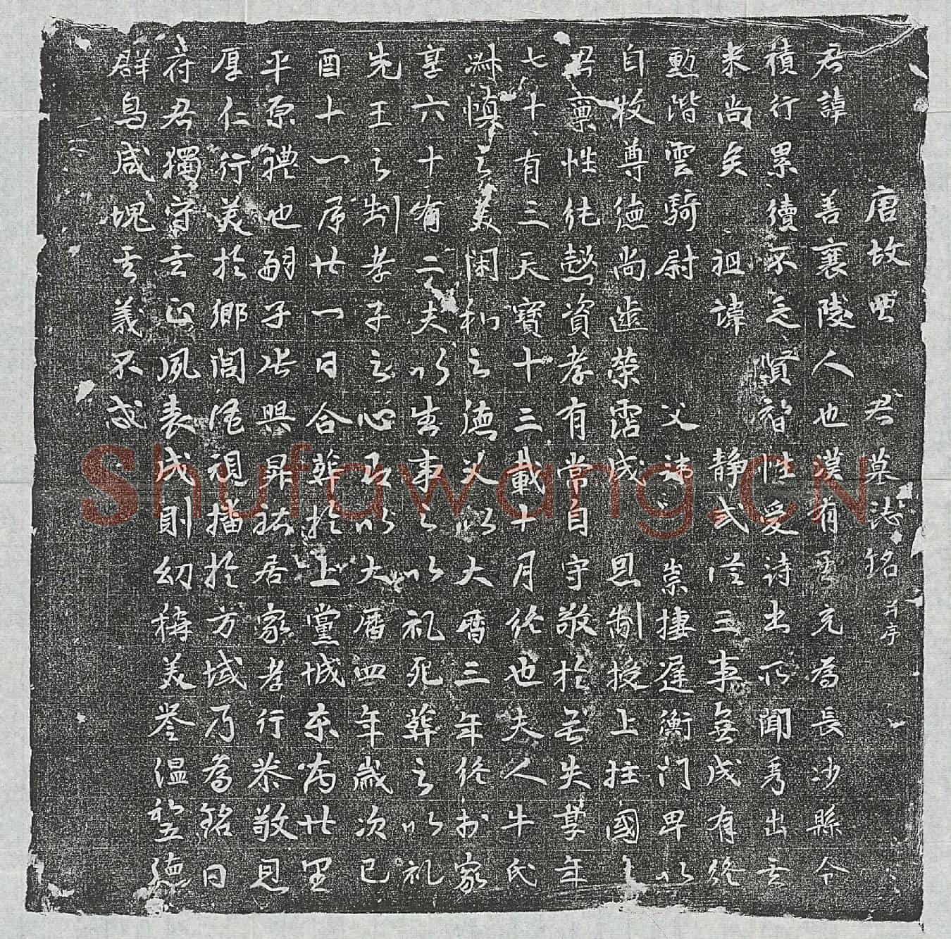 唐【？】善墓誌(唐故【？】君墓誌铭并序)