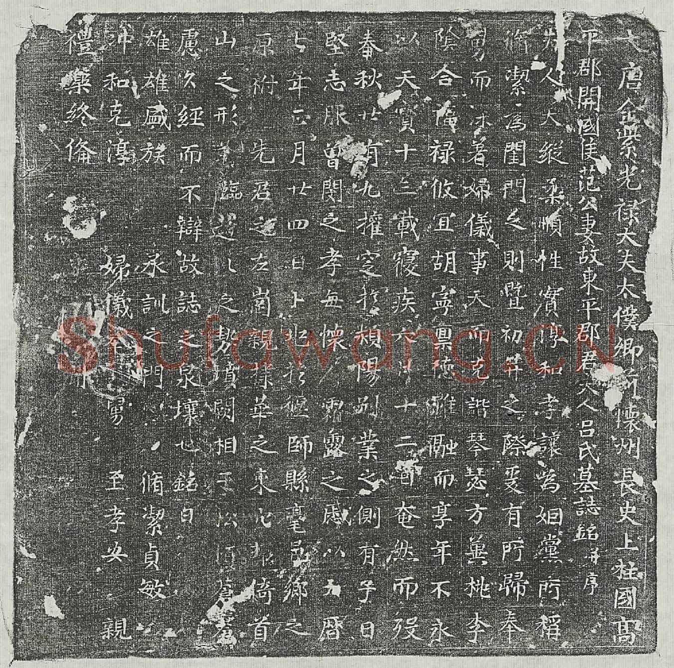 唐范君妻吕氏墓誌(大唐金紫光禄大夫太僕卿前怀州长史上柱国高平郡开国候范公妻故东平郡君夫人吕氏墓誌铭并序)