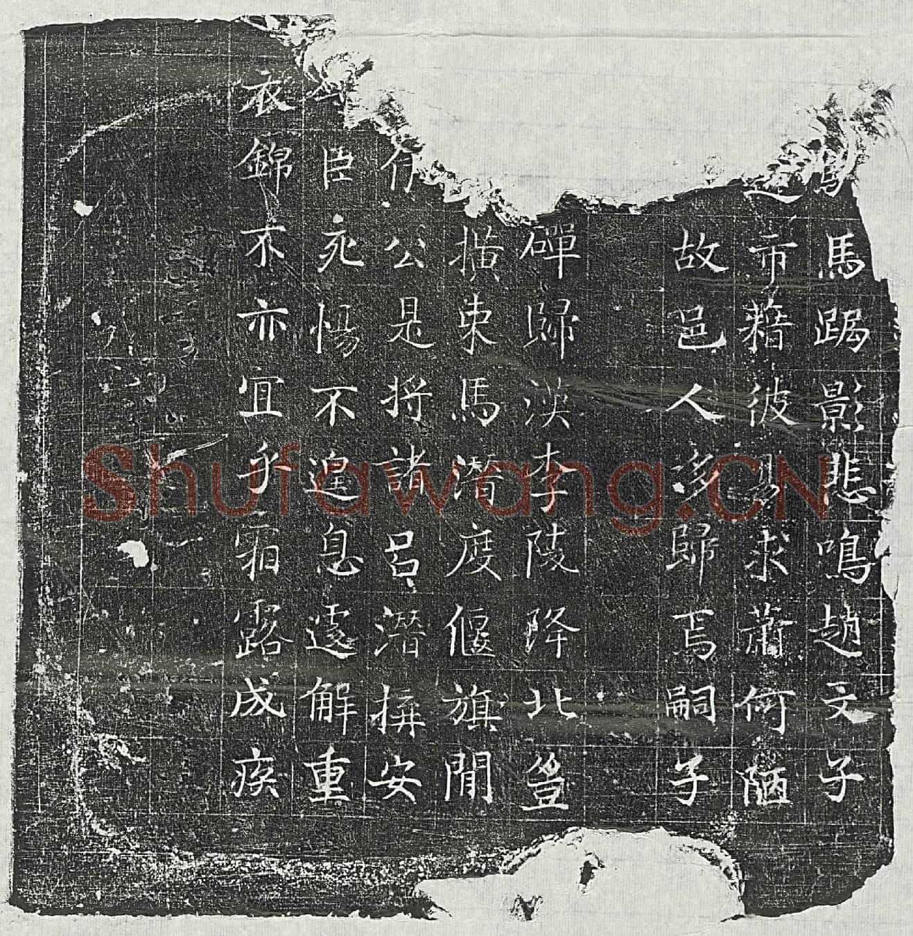 唐梁君妻邢氏墓誌(唐朝散大夫太子中允梁公夫人故河间县君邢氏墓誌铭并序)