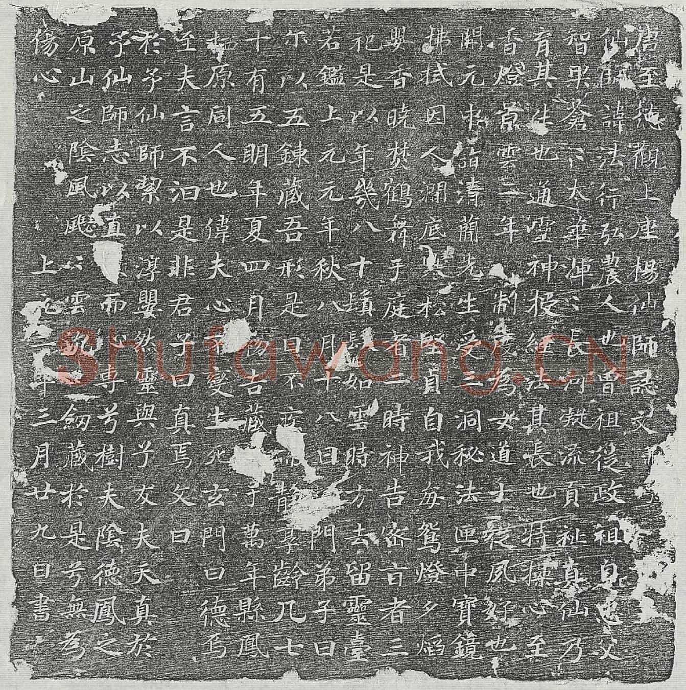 唐法行墓誌(唐至德观上座杨仙师誌文并序)