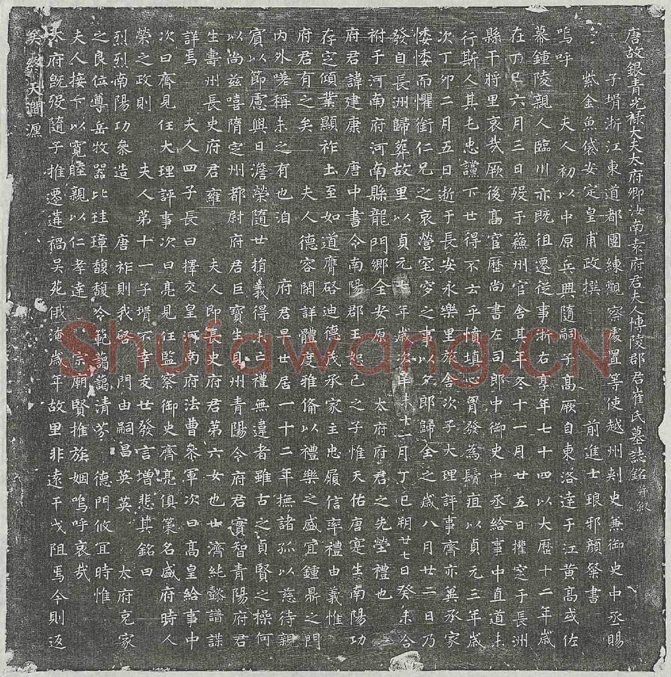 唐袁君妻崔氏墓誌(唐故银青光禄大夫太府卿汝南袁府君夫人博陵郡君崔氏墓誌铭并叙)