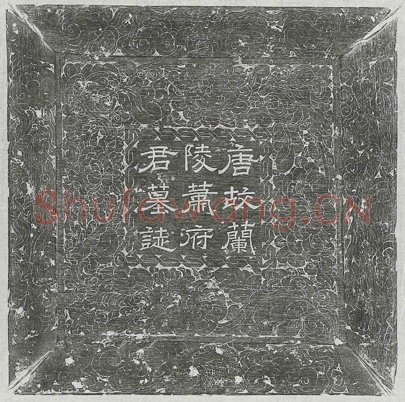 唐萧遇墓誌(唐故朝散大夫守太僕少卿上柱国袭彭城县开国男兰陵萧公墓誌铭并序)