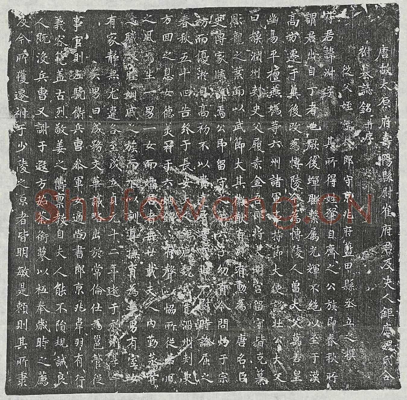 唐崔淑、崔淑妻魏氏墓誌(唐故太原府寿阳县尉崔府君及夫人鉅鹿魏氏合祔墓誌铭并序)