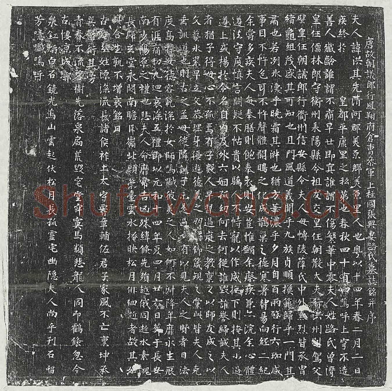 唐张兴妻路洪墓誌(唐故朝议郎行凤翔府仓曹参军上柱国张兴妻路氏墓誌铭并序)