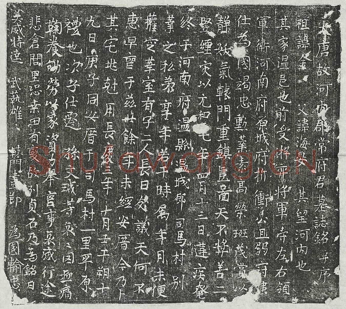 唐常君墓誌(大唐故河内郡常府君墓誌铭并序)