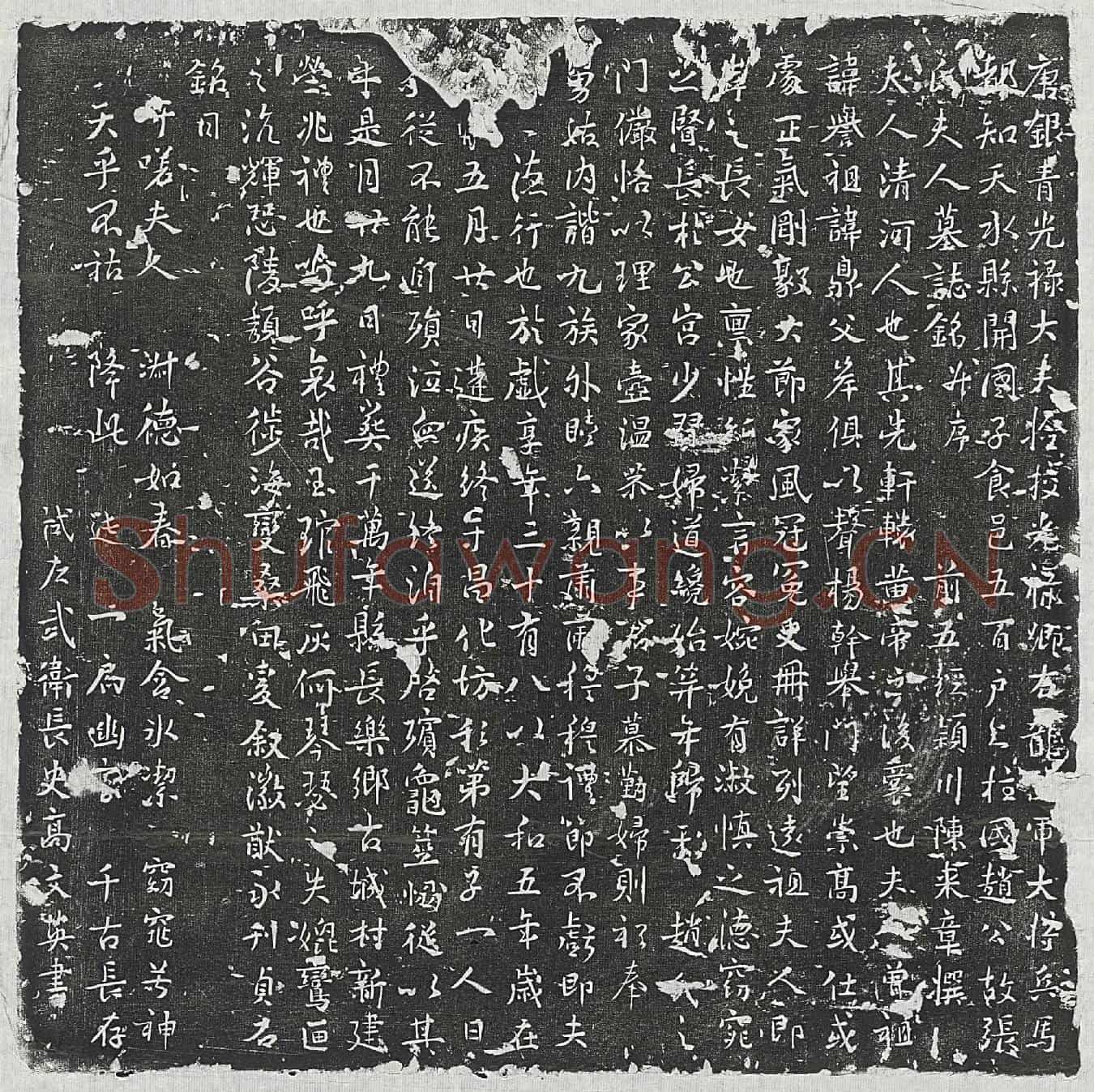 唐赵君妻张氏墓誌(唐银青光禄大夫检校光禄卿右龙武军大将兵马都知天水县开国子食邑五百户上柱国赵公故张氏夫人墓誌铭并序)